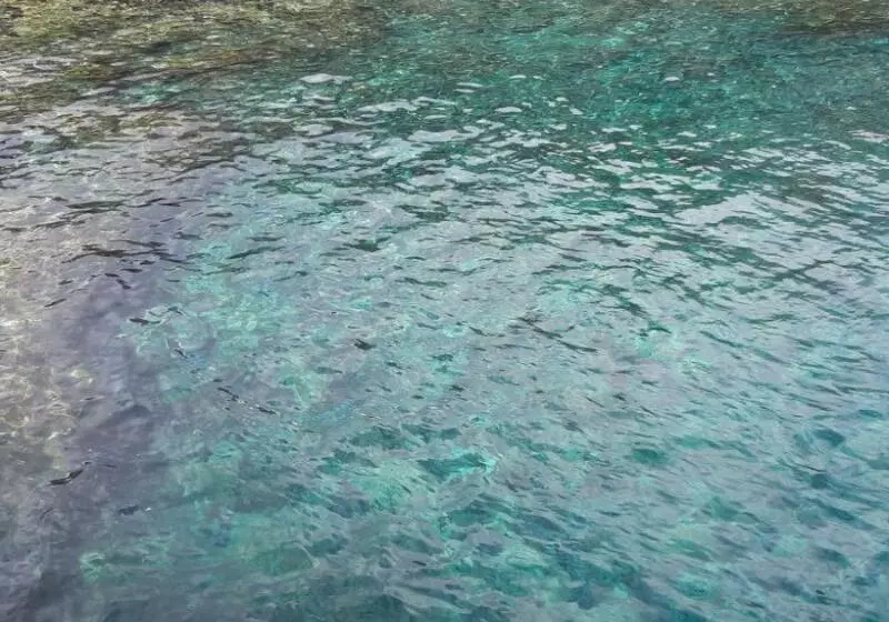 Aparthotel El Cerrito