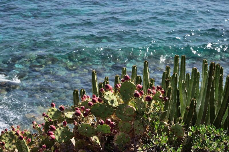 Aparthotel El Cerrito