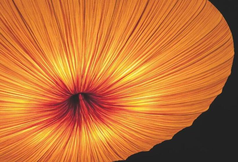 هتل Casa Fuster G.l Monumento