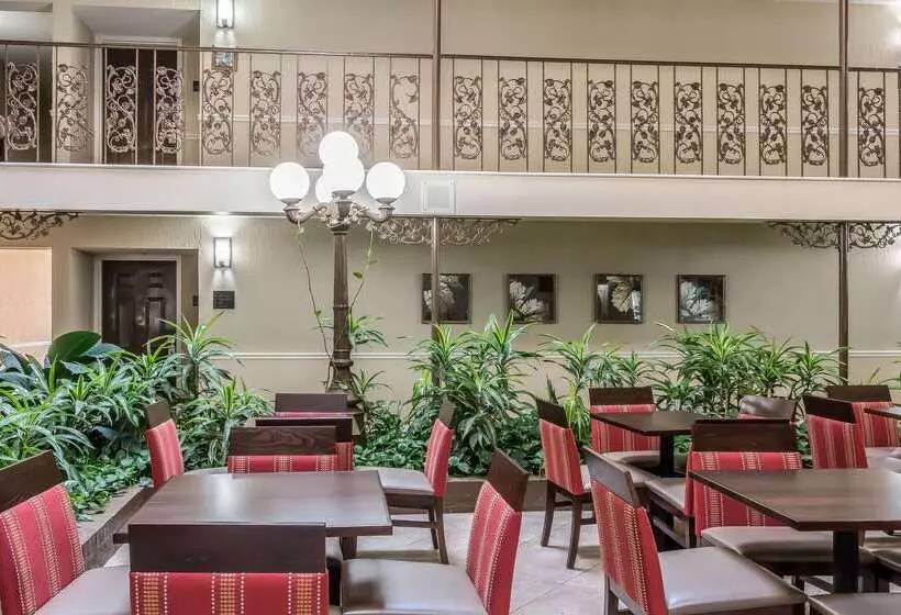 Отель Comfort Inn