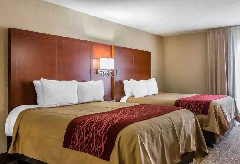 Отель Comfort Inn