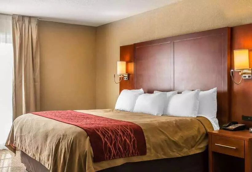 Отель Comfort Inn