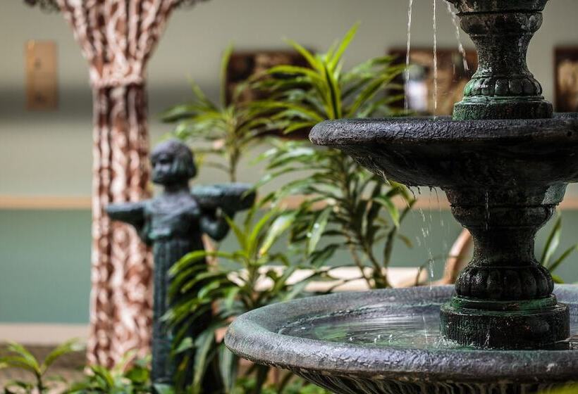 فندق Comfort Inn