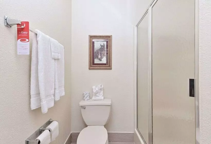 酒店 Econo Lodge Inn & Suites