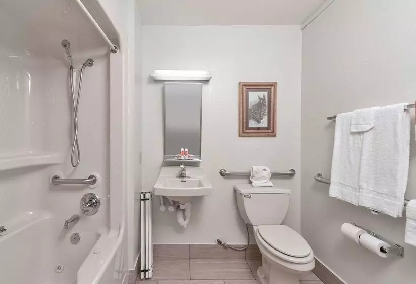 酒店 Econo Lodge Inn & Suites