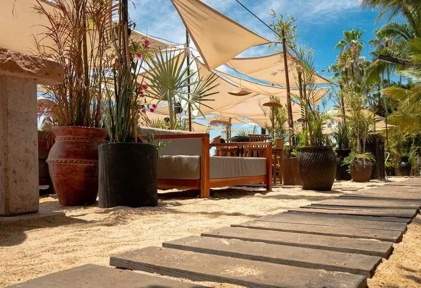 リゾートホテル La Concha Beach Hotel & Club