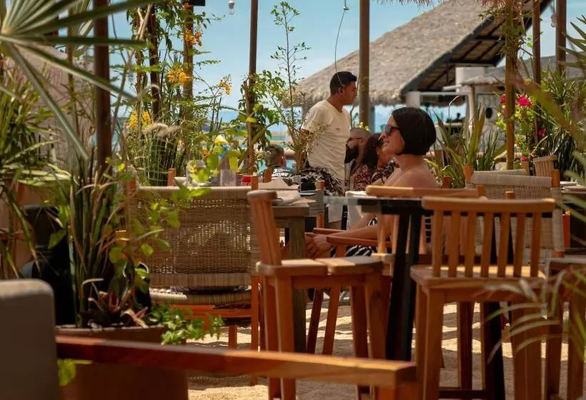 リゾートホテル La Concha Beach Hotel & Club