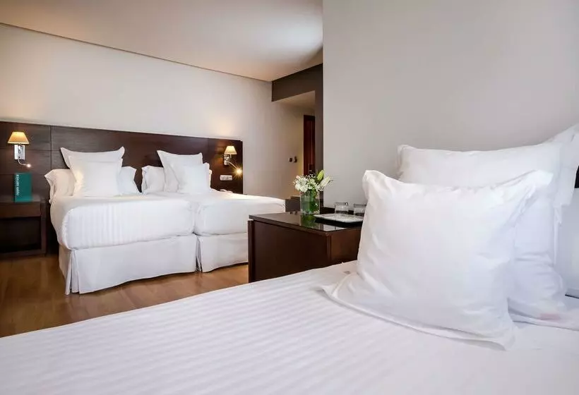 酒店 Occidental Granada