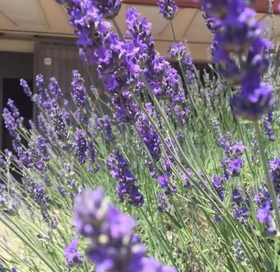 فندق San Francesco