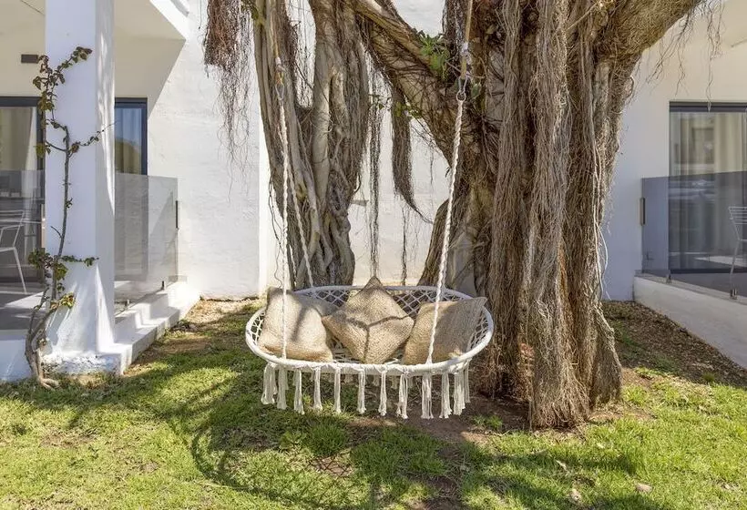 Marsenses Paradise Club