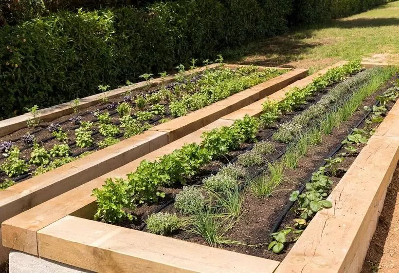 Marsenses Paradise Club