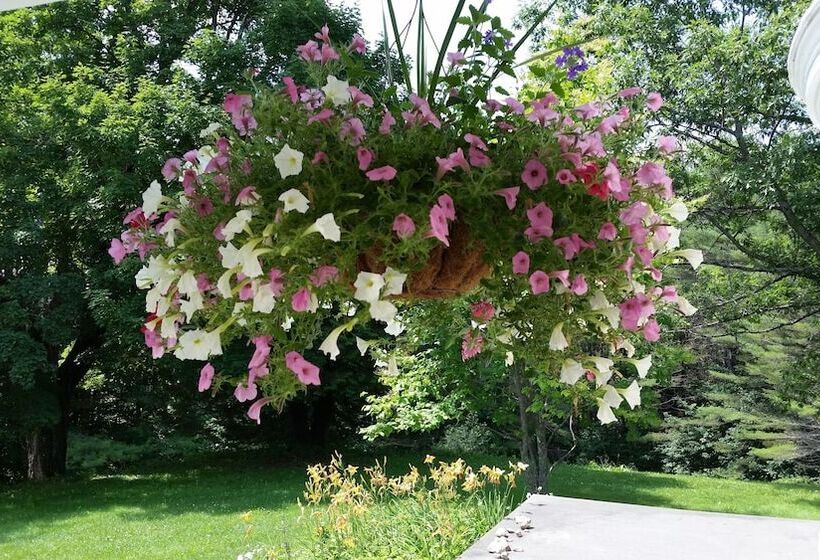 호스텔 Hillholm Estate