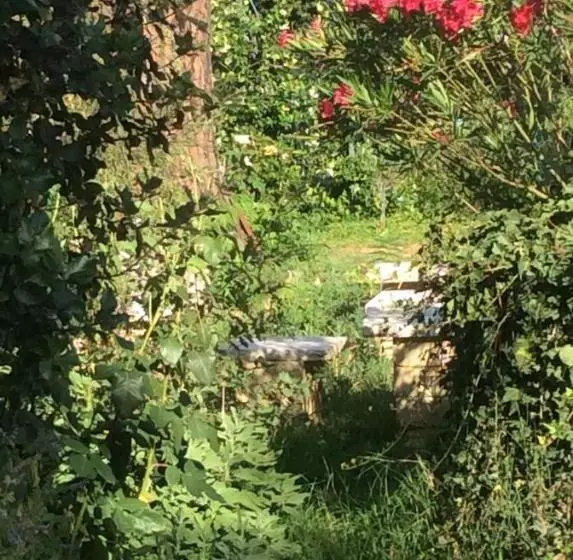 هتل Agriturismo Dominus Domenico