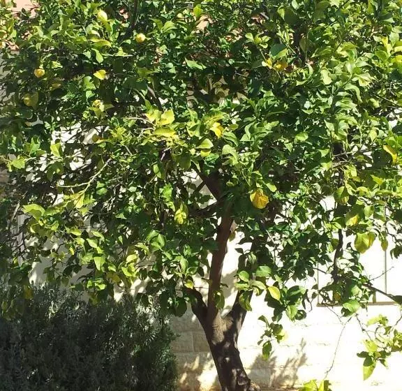 Hotelli Giardino
