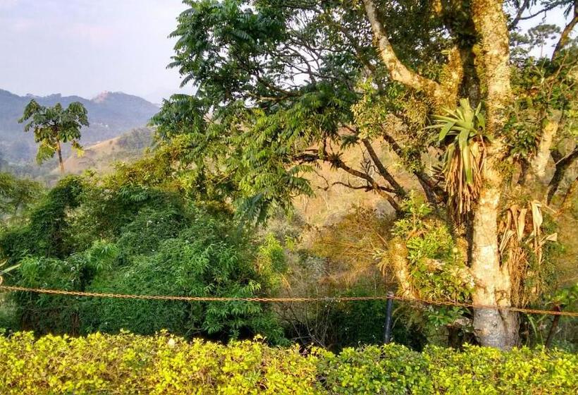 Pension (Hôtel basse catégorie) Pousada Amor Perfeito