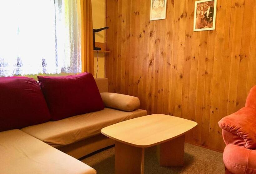 Pensjonat Ubytovani Haasova