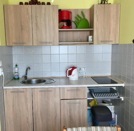 Pensjonat Ubytovani Haasova