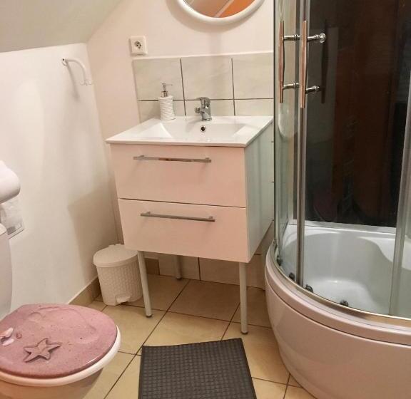 Pensjonat Ubytovani Haasova