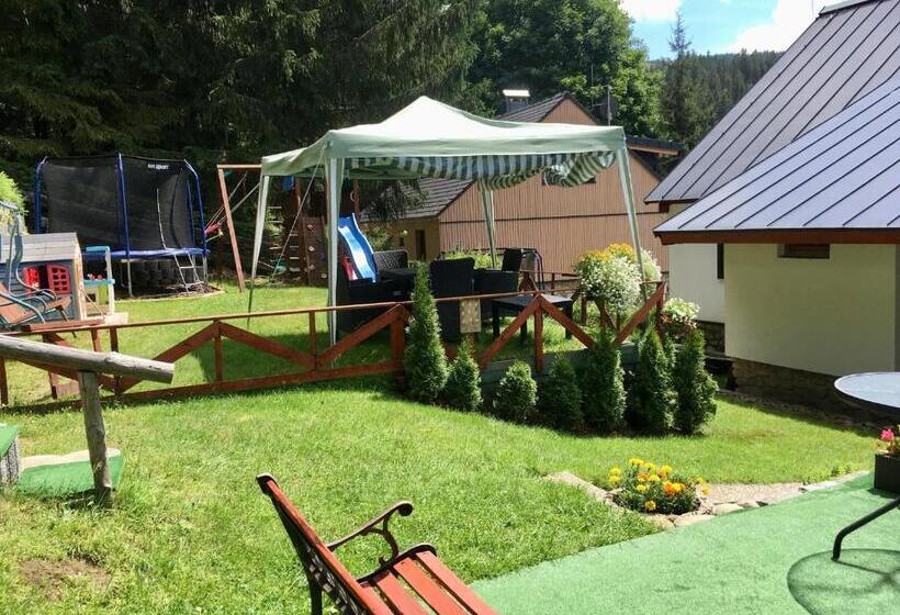 Pensjonat Ubytovani Haasova