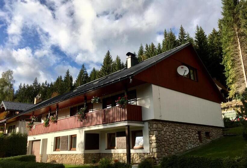 Pensjonat Ubytovani Haasova