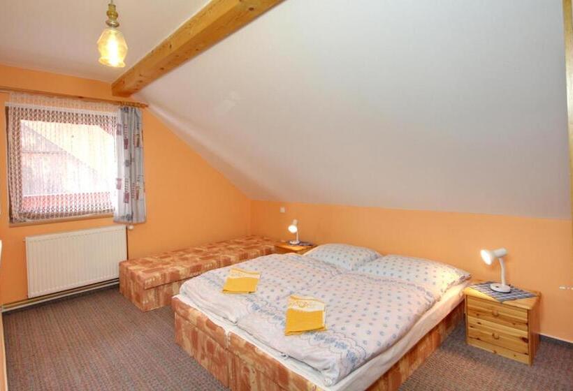 Pensjonat Ubytovani Haasova