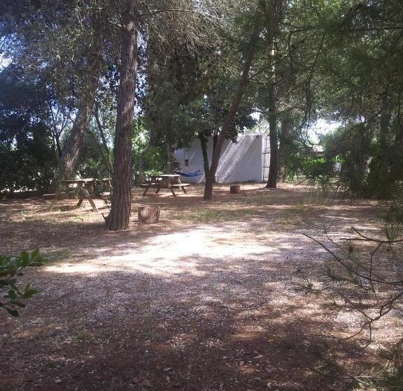 בית מלון כפרי Agriturismo Vignavecchia