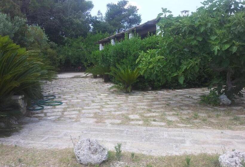 בית מלון כפרי Agriturismo Vignavecchia