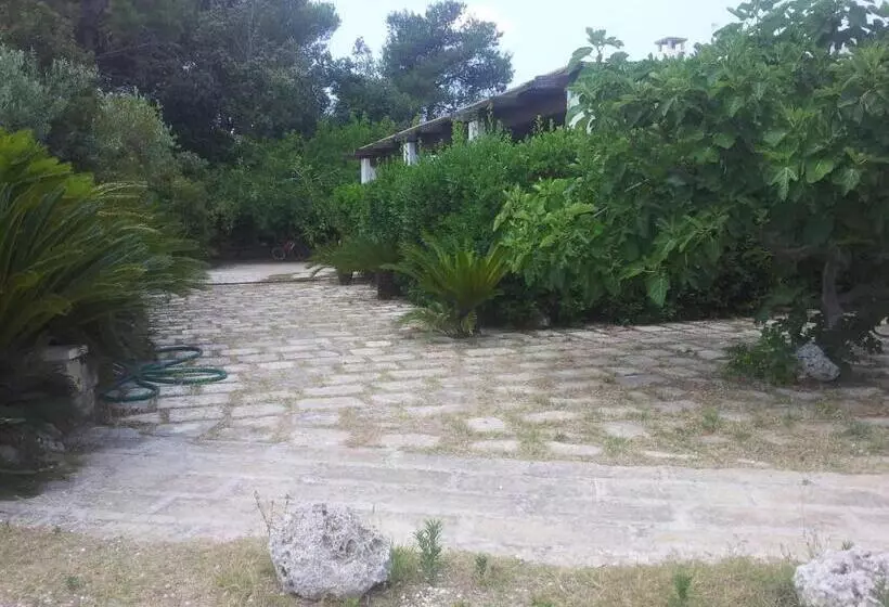 Hotelli Agriturismo Vignavecchia