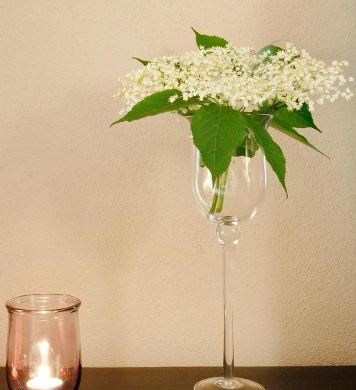 Hotel B&b Il Sambuco