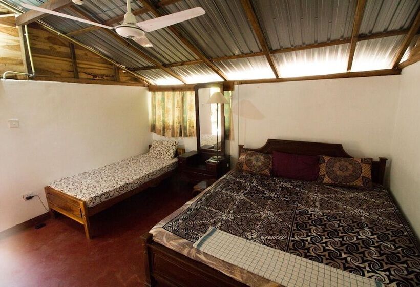 فندق Mala's Home Stay