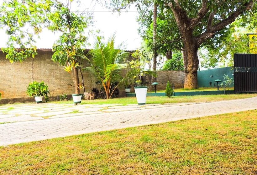 בית מלון כפרי Shaa Lodge