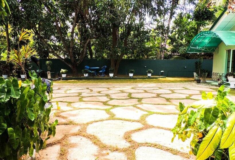 בית מלון כפרי Shaa Lodge