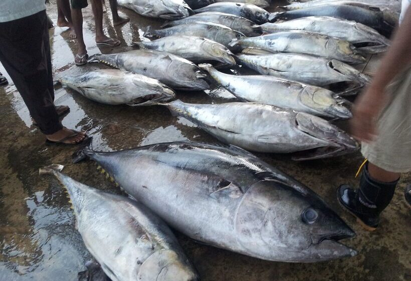 Patrick Holiday Resort