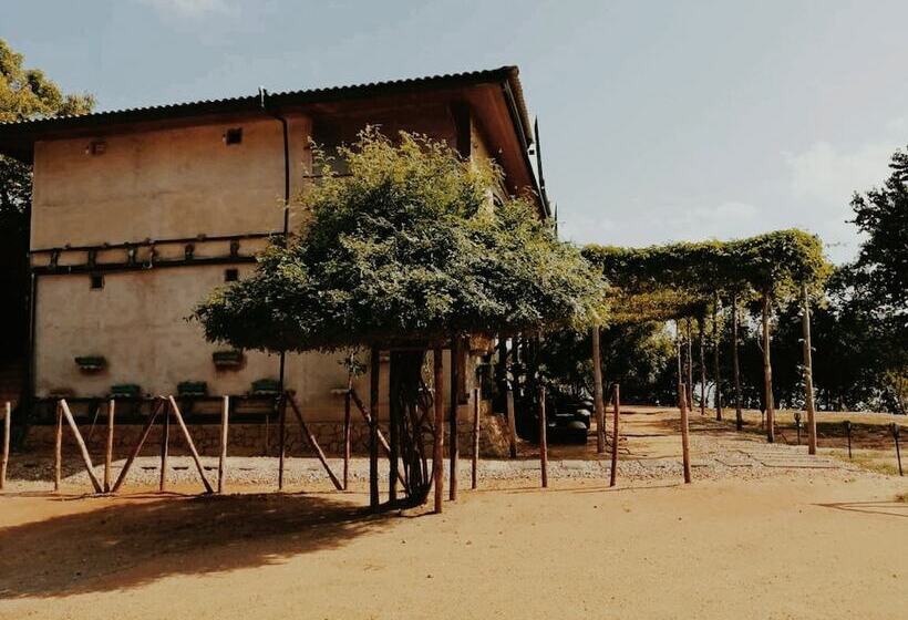 Wilpattu Nature Resort