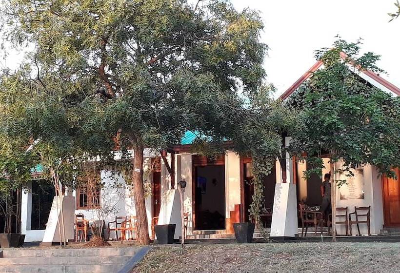 Wilpattu Nature Resort