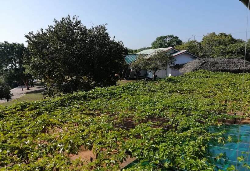 Wilpattu Nature Resort