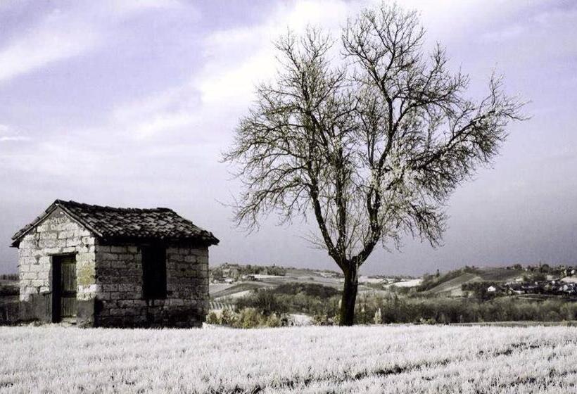 B&b Monferrato La Casa Sui Tetti