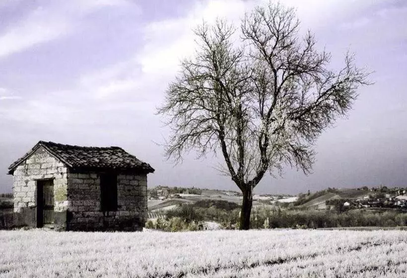 B&b Monferrato La Casa Sui Tetti