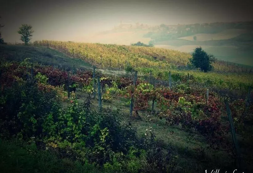 B&b Monferrato La Casa Sui Tetti