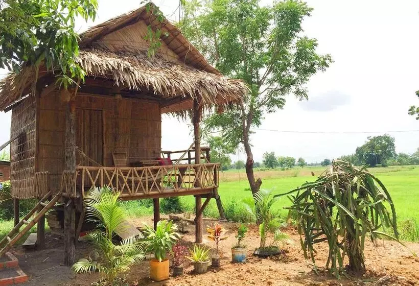 هتل Family Batcave Homestay