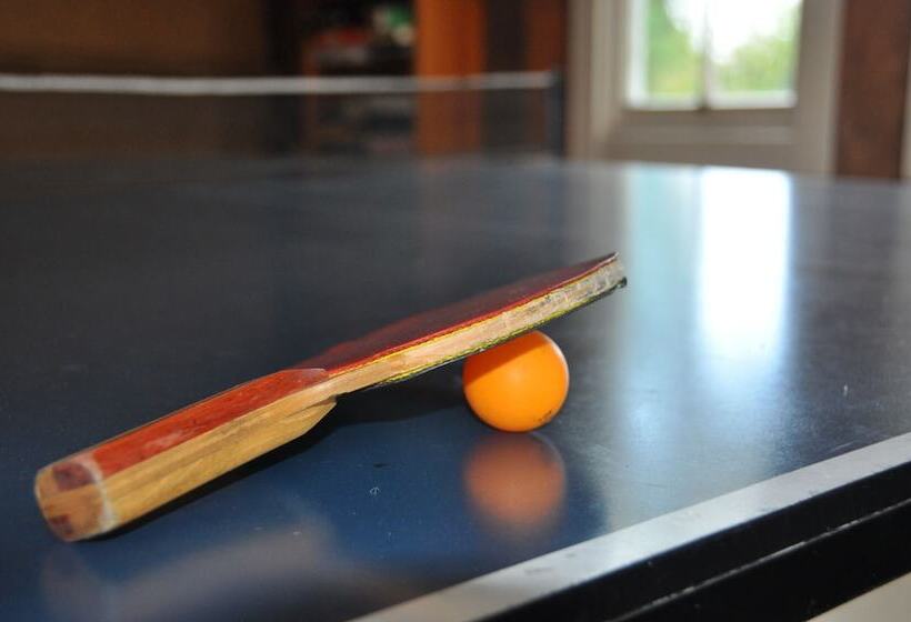 Отель Kauri Villas