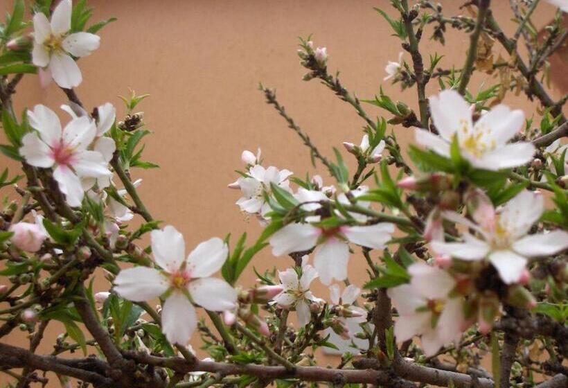 فندق Les Jardins Du M Goun