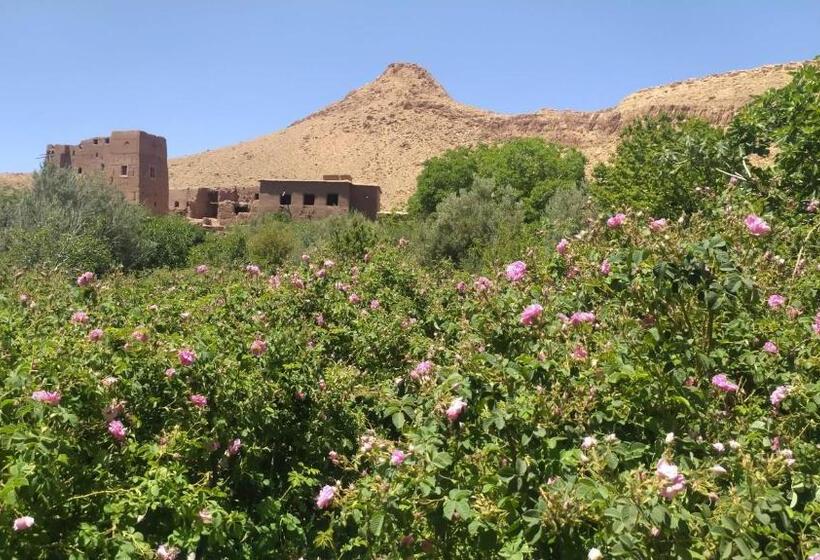 فندق Les Jardins Du M Goun