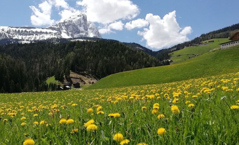 Отель Pension Maria