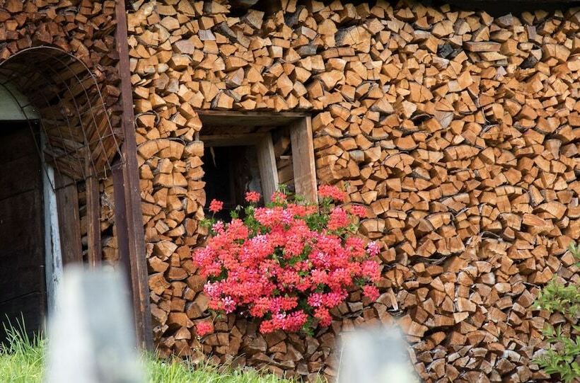 Отель Pension Maria