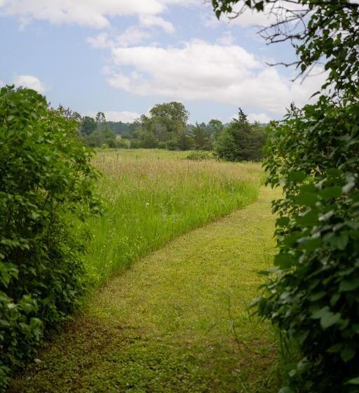Bed and Breakfast Owl's Nest Suites