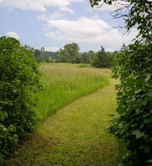 Aamiaismajoitus (B&B) Owl's Nest Suites