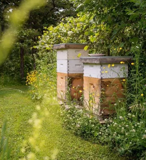 Aamiaismajoitus (B&B) Owl's Nest Suites