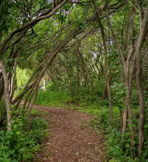 Aamiaismajoitus (B&B) Owl's Nest Suites