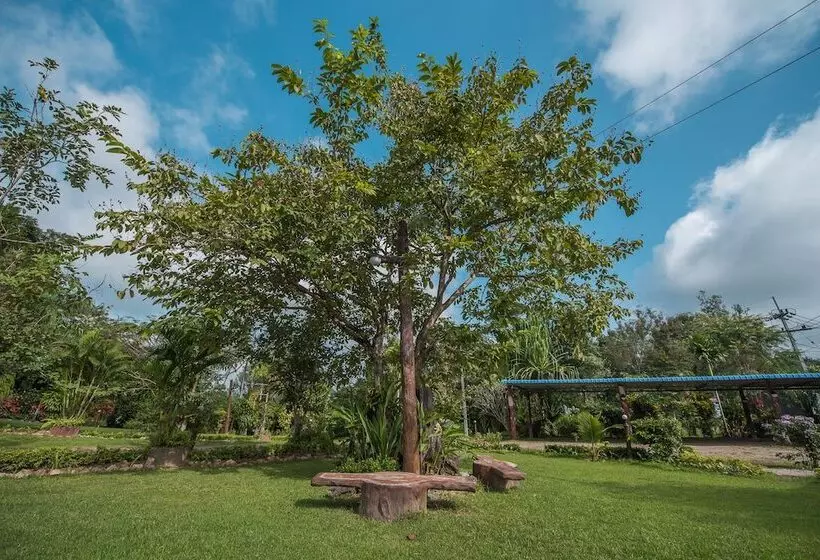 Hotelli Mountain View House